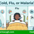 Cold, Flu, or Malaria? How to Tell the Difference This Rainy Season