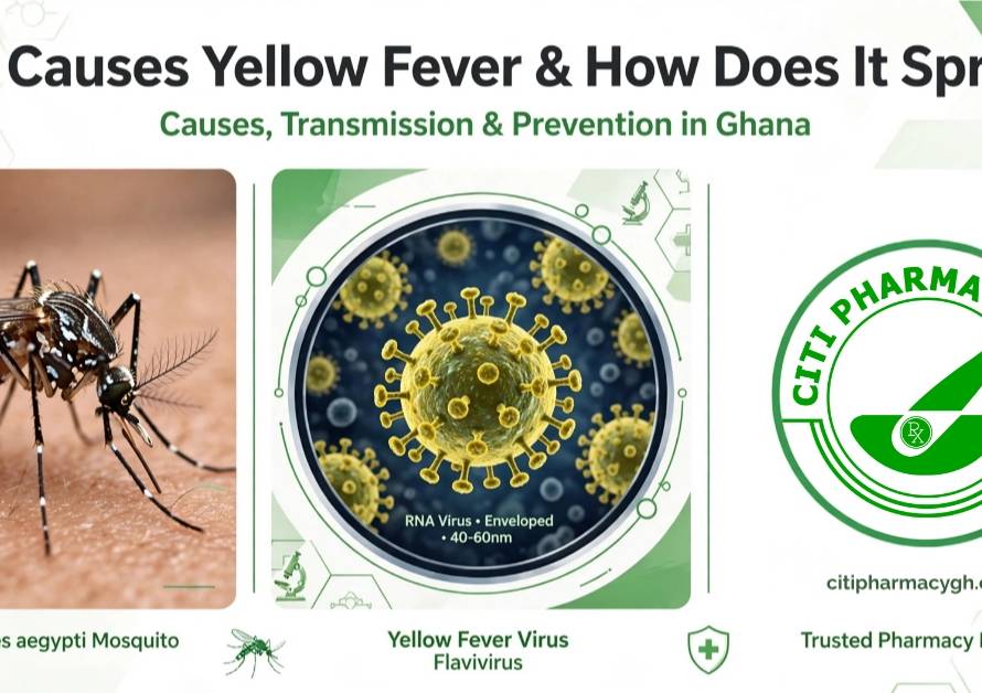 Yellow Fever vector: Aedes Aegypti Mosquito, Yellow Fever Virus: Flavivirus, Trusted Pharmacy Partner