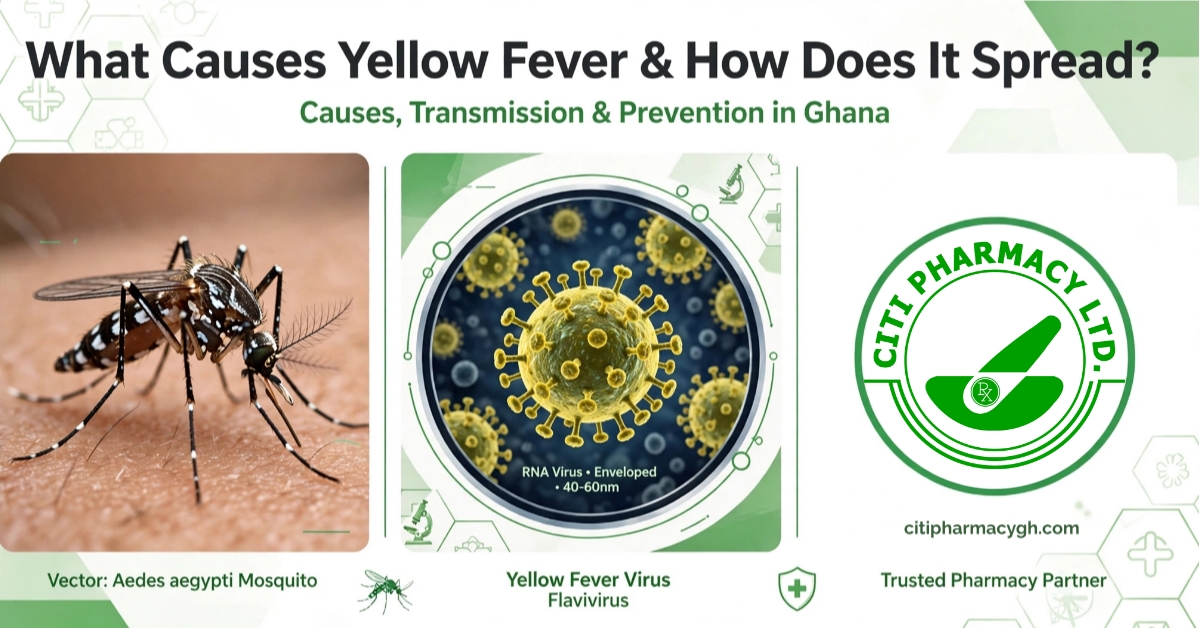 Yellow Fever vector: Aedes Aegypti Mosquito, Yellow Fever Virus: Flavivirus, Trusted Pharmacy Partner